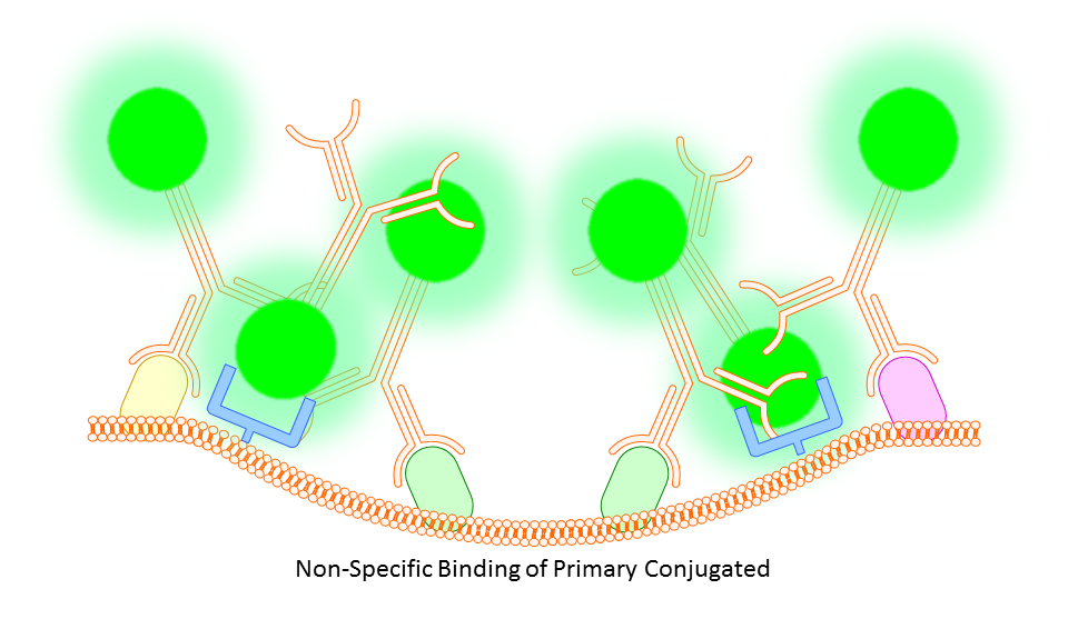 Non-Specific Binding